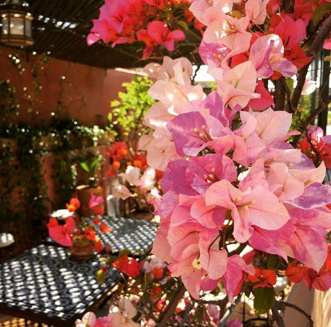 Riad Green Lotus Marrakesh Exterior foto